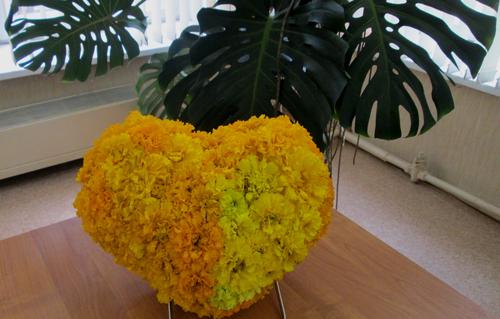 IMG_8098.jpg.     